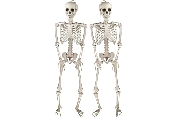 Jonami Halloween skelett dekoration realistisk läskig skelett justerbar plast väderbeständig inomhus utomhus fest skräck tillbehör – 2 stycken 41 cm
