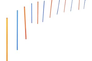 PAWISE Agility 11431 - Set di 12 aste per Slalom per Cani + Borsa