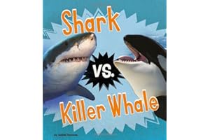 Shark vs. Killer Whale
