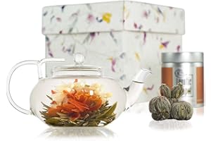 The Exotic Teapot - Flowering Tea Gift Set, Lotus Glass Teapot (400ml), 5 Bloom Sampler Tin of Flower Tea, Handmade Gift Box