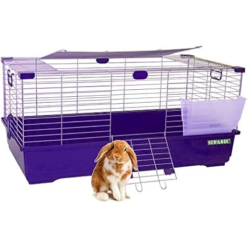 Amazon.co.uk Guinea Pig Cages & Pens / Houses & Habitats Pet Supplies