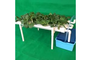ieLsngai Kit de cultivo hidropónico, sistema de cultivo hidropónico, 36 agujeros, estructura de cultivo automático, kit de cultivo hidropónico para jardín