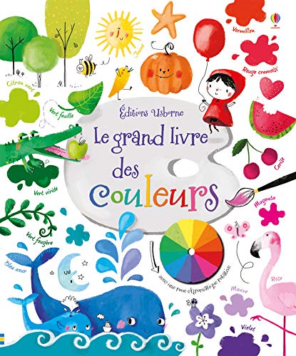 couverture de : Le grand livre des couleurs