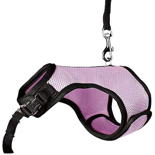 Amazon.co.uk Rabbit Collars, Leads & Harnesses / Small Animals Pet