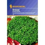 Sämereien Kresse Krause PG B