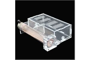 KXCR Nid Fourmis Maison Fourmis À 1 Tubes avec Zone d'alimentation Fourmilière Acryl Ant Farm Ferme À Fourmis Insectes Villa Pet Mania pour Fourmis Domestiques (Color : A)