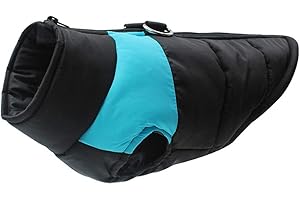 Homieco Cappotto Impermeabile per Cani, Giubbotto Imbottito Calda Impermeabile per Cane, Pet Vestiti Cani Inverno - Blu