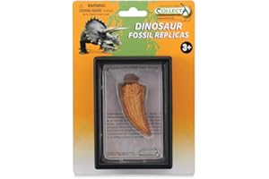 Collecta Tooth lato Tyrannosaurus Rex Boxed Set
