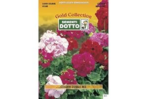 SEMENTI DOTTO Semi di Geranio Zonale in Mix - h cm 45