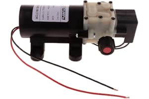 HOMEDECTIME Pompe à Eau électrique Pulvérisateur à Haute Pression 12V 24V 48V 60V DC - Noir 12V