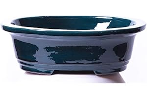 Alfareros Damian Canovas Maceta para Bonsai DE Barro Y ESMALTADA EN Color Azul RABEL.Mod. Osaka. Medidas 25X20X7CM.con TU Compra TE REGALAMOS EL Plato.