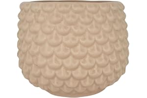 Nordring Vaso Pino - per Fiori da Interno e Piante da Interno, Piante grasse, Cactus, Orchidee L (16,5 cm ø), SEL de Mer, Ceramica Gres