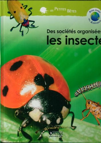 couverture de : Insectes (Les)