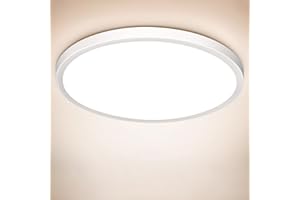 Swoieltr Led Plafonnier Ø22CM, Plafonier LED 4000K 18W 1600LM Plafonnier Chambre Luminaire Cuisine IP44 Etanche Lampe Cuisine Plafond pour Salon, Balcon, Couloir, Garage, Bureau, Chambr à Coucher