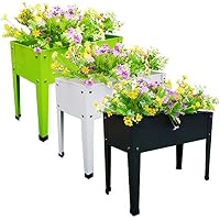 Amazon.es: Huertos urbanos y kits: Jardín