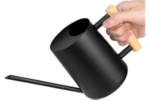 UENNM Giesskanne, 1L Gießkanne Zimmerpflanzen, Edelstahl Langer Auslauf Gießkanne für Sukkulenten, Gießkanne mit Komfortgriff, Garten Sprinkler Vintage Blumengießkanne für Balkon Büro Wohnzimmer (Black)