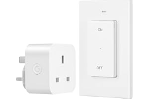 DEWENWILS Remote Control Sockets, 30m/100FT Control Range, Compact Size, 13A/3120W Programmable Heavy Duty Wireless Light Switch with Keyring, CE&RoHS Listed, 1 Remote+1 Socket