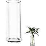 TSKDKIT Grande vaso di vetro per fiori 30 cm vaso di vetro trasparente rotondo per soggiorno moderno grande vaso (30 x 10 cm)
