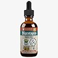 Rejuvica Health DigestaPro - Digestive Bitters for Advanced Fast-Acting, Digestive Support - Alcohol-Free - Gentian, Ginger, Artichoke, Burdock, Chanca Piedra and More