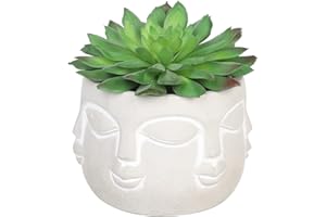 Sleepdown Halo Green Artificial Faux Plant Succulent Faces Pot for Home Office Bathroom Decor Indoor Decoration Aesthetics, Small