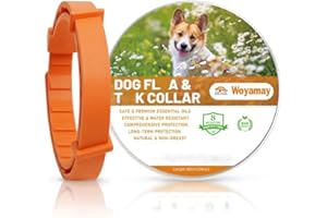 Woyamay Collier Anti Puces pour Chien, Collier Anti Tique Chien Réglable Résistant à l'eau, 8 Mois de Protection Naturelle Collier Chien Anti Puces et Tiques pour Chien Tous âges, Orange