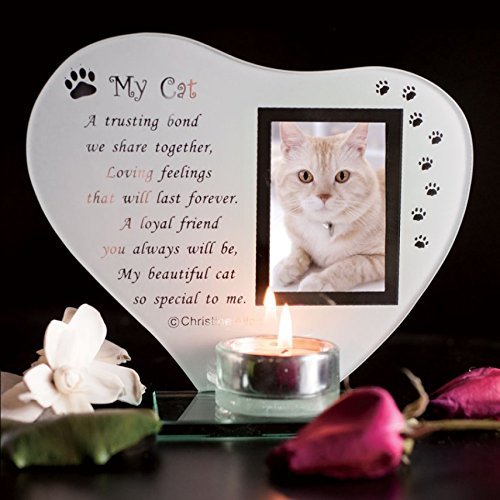 Budgetline Special Cat Keepsake Grave Memorial Glass Ornament Cat Plaque Poem Candle Photo