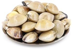 LONDON GROCERY Frozen & Vac-Pac Cooked Meretrix Whole Shell Clams 1kg x 10 Packs