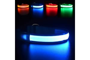 MASBRILL Light Up Dog Collar, LED Dog Collar Lights for the Dark, Rechargeable and Waterproof Flashing Dog Collars with 3 Glowing Modes, Adjustable Pet Collar for Small/Medium/Large Dog(Blue M)