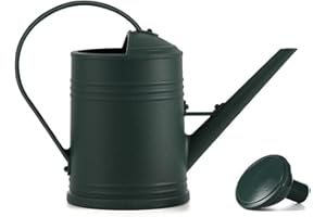 Youning Gießkanne 2L Garten Giesskanne Klein Gießkanne Zimmerpflanzen Blumengießkanne Wasserkannen mit Abnehmbarer Brause Kunststoff Gartengießkanne Pflanzengießkanne für Innen und Außen (Dunkelgrün)