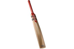 GRAY-NICOLLS GRAY NICOLLS Technik Cricketschläger