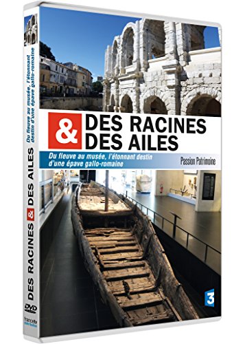 couverture de : Du fleuve au mus&eacute;e, l'&eacute;tonnant destin d'une &eacute;pave gallo-r...