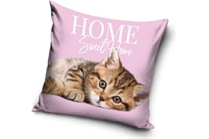 CARBOTEX Housse de coussin motif chat bébé 40 x 40 cm (PNL214089)
