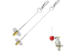Ginddy 2 Pcs Stainless Steel Bird Skewer Feeder - 6.63"/8.58" Dual-Size Parrot Fruit & Veggie Holder with Chain Durable Foraging Toy for Budgies Parakeets Cockatiels (Chicken & Pet Bird Safe)