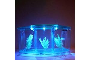 DINGLONG HOME Aquarium en Verre avec Couvercle et lumières LED, Aquarium LED d'éclairage, Complet Bocal Poisson, Cadeaux Créatifs pour Enfant et Adulte, Mini Aquarium USB LED Lampe Méduse. (Bleu)