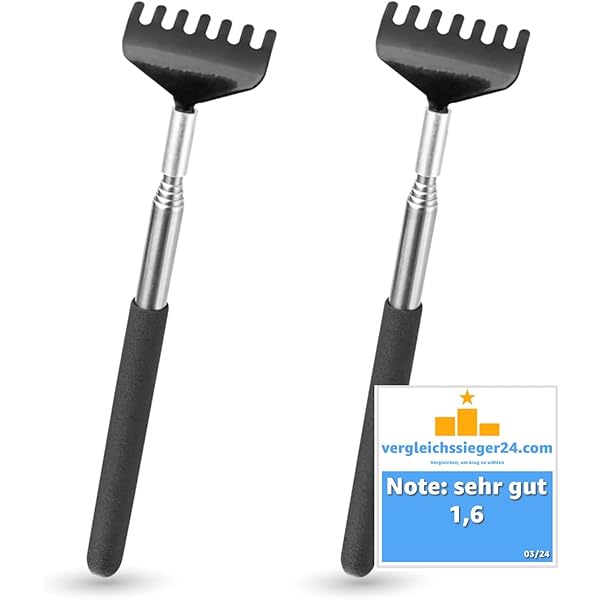 2x Gratte-dos Télescopiques Extensibles Main Large Anti