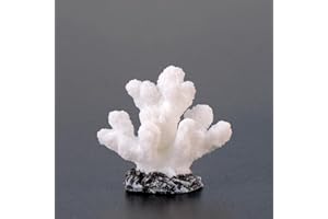 Movoja 2 pezzi, decorazione per acquario, corallo, per acqua dolce e salata, decorazione corallo, acquaristica, 8 bianco