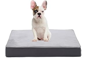 Jaspuriea Orthopädisches Hundebett Kleine Hunde mit Wasserdichtem Abnehmbarem Bezug, Rutschfestem Waschbar Hundebetten, Deluxe-Flanell Bequeme Hundekissen, Grau, 60x45x9 cm