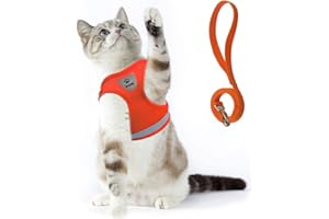 Supet Pettorina per gatti e cuccioli di gatto morbido set di conigli gilet con guinzaglio per kitten cani Chihuahua... (lunghezza torace 40-45 cm), arancione)