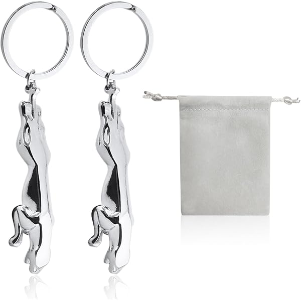 Portachiavi Jaguar AXLorange - Massiccio, Argento, Taglia M - Foto 11