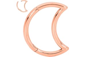 365 Sleepers G23 Anillo de segmento con bisagras de luna unisex de titanio Helix Tragus Septum Clicker Nariz Labio Aro Pendiente Joyería piercing del cuerpo