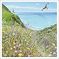 Woodmansterne Artistic General Greeting Card - 'Flying High' - Birds Flying Over a Pretty Coastal Path - Suitable for Birthday - by Lucy Grossmith