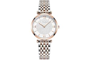 ACKSSI Wrist Watch for Women, Business Style Lady's Watch, Quartz Analog Women's Watch with Stainless Steel Strap