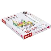 Camlin Brush Pens – 14 Brilliant Shades (Pack of 1) | Flexible Brush Tip, Smooth Ink Flow, Ideal for Calligraphy, Doodling & 