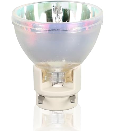 Lampe De Rechange Pour Projecteur Mitsubishi - VLT-XL7100LP | Compatible LU-8500, LX-7550, XL7100U, Etc. | Avec Boîtier, Durée De Vie 2000h