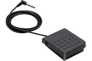 Casio SP-3 Pédale de Sustain et Poussoir en Plastique pour Divers Modèles Casio CT-S, CT-X, LK-S