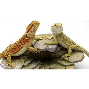 gestapelt Rock, Reptile Habitat Zubehör