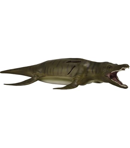 Collecta Dolichorhynchops Dino-Figur – Detailgetreu & Handbemalt Für Sammler & Spiel