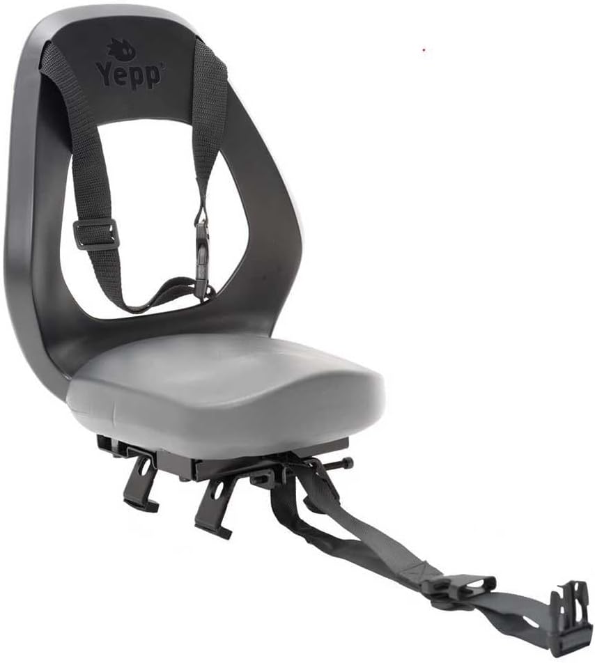 Silla THULE YEPP Junior TRASERA Budget Plata Nueva