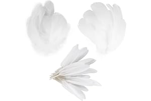 pangutheos 250 Pezzi Piuma Bianca, Piume Decorative Naturali Colorate per Fai da Te, Orecchini, Matrimoni, Acchiappasogni, Casa, Feste, Carnevale, Copricapo, Artigianato, Costumi, Natale, Pasqua