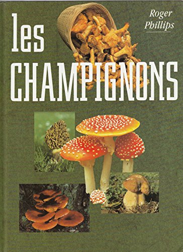 couverture de : Les champignons